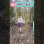 【セーラ服で鉄棒】まさかのハプニング　　#shorts