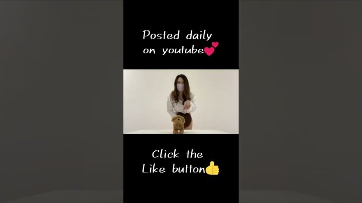 039  【You don’t see it, do you】saki    moving dog challenge ＃Shorts