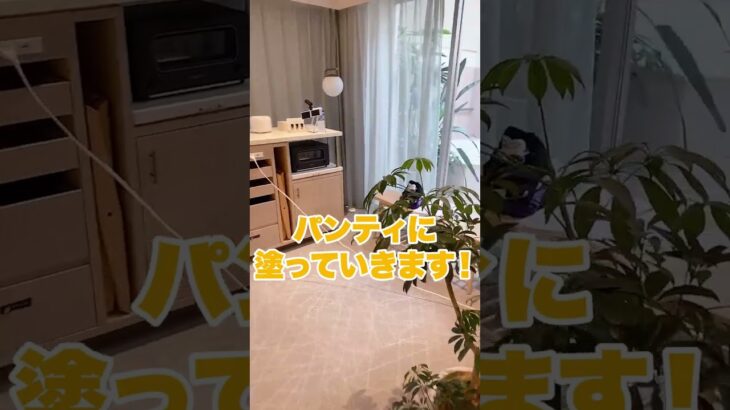 入浴中のみゃあこちゃんのパンツにアレを塗ってみたｗｗ #shorts