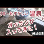 満願寺温泉／日本一恥ずかしい温泉♨️混浴露天風呂（熊本県）Japanese hot springs 混浴女子