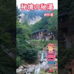 【山形県の温泉】秘境の秘湯 姥湯温泉桝形屋 #源泉かけ流し #温泉 #shorts