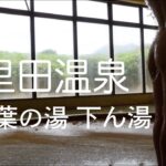 アワアワの秘湯。【高濃度炭酸泉】七里田温泉 木乃葉の湯・下湯 驚異の”泡付き”ラムネの湯 炭酸足湯 久住連山の自然と優しさに触れる旅/ガンジー牧場/郷土料理だご汁/大観峰/おんせん県大分 魔法の言葉