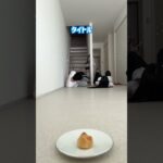 韓国人夫vs日本人妻 #shorts