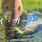 パーイの秘湯。【自然湧出】サイ・ガーム温泉 エメラルドグリーンに輝く野湯 川の温泉 森の中の秘境 パーイ・メモリアルブリッジ  第二次世界大戦 ドローン paiの街風景 屋台のパッタイでぽっちゃり。