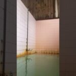 あつあつしょっぱい温泉